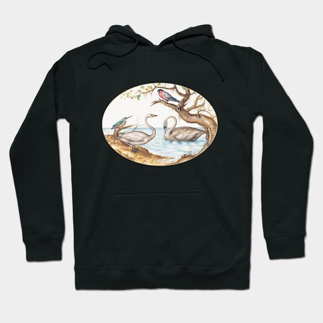 Two Swans, Kingfisher, and Bullfinch (1575–1580) Hoodie by WAITE-SMITH VINTAGE ART